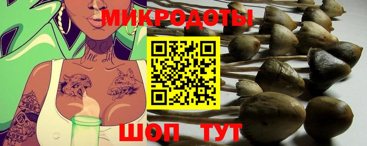 Галлюциногенные грибы Cubensis Нижнеудинск