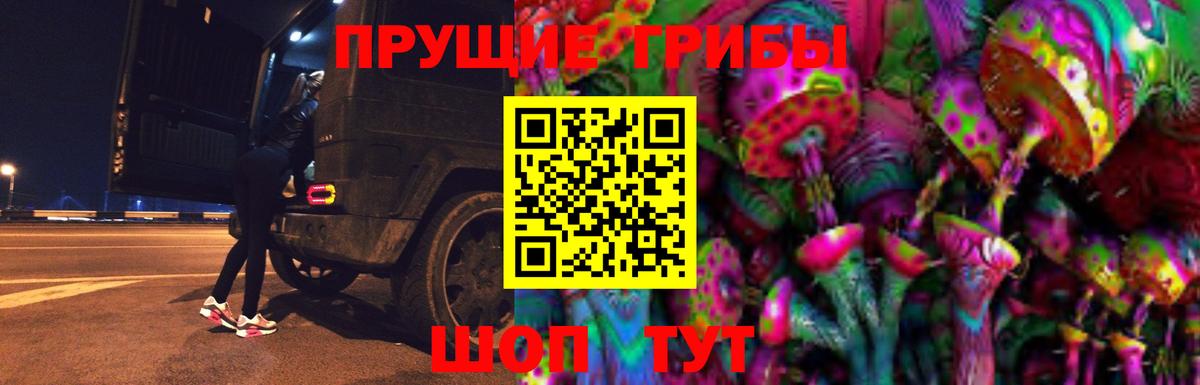 Галлюциногенные грибы прущие грибы  Псилоцибиновые грибы прущие грибы  Вход с VPN  Нижнеудинск 